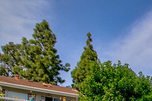 El Cajon, Ca 92020 lPool with Lounge chairs Forest Park Apartments for rent
